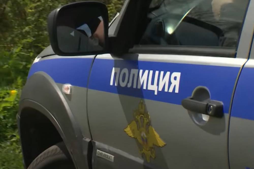 В Псковской области завели уголовное дело после исчезновения девочки