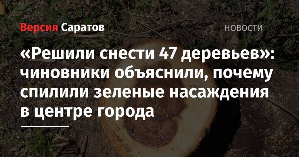 «Решили снести 47 деревьев»: чиновники объяснили, почему спилили зеленые насаждения в центре города