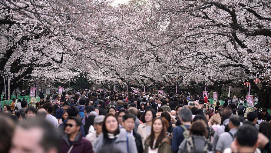 В Японии начнут выплачивать туристам деньги за посещение страны