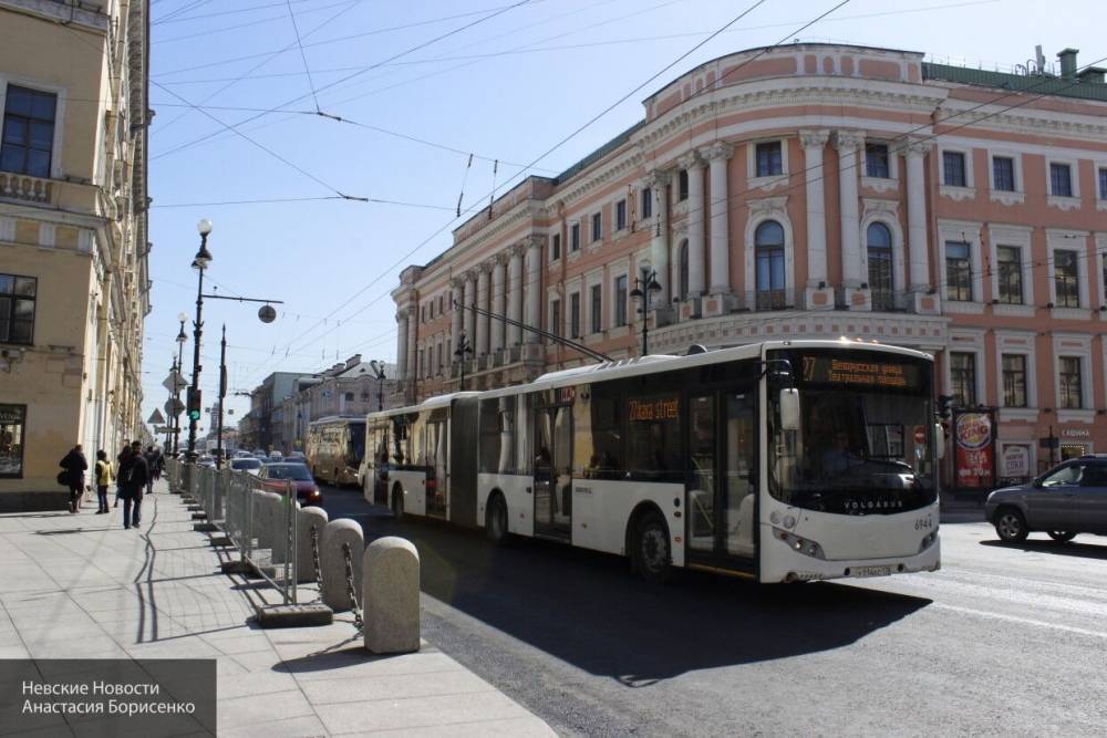 Новая выделенная полоса для общественного транспорта появится в Петербурге