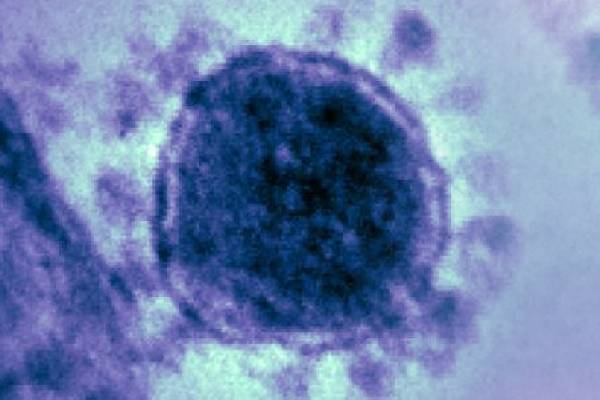 Почти 5,5 млн жителей Земли заразились коронавирусом