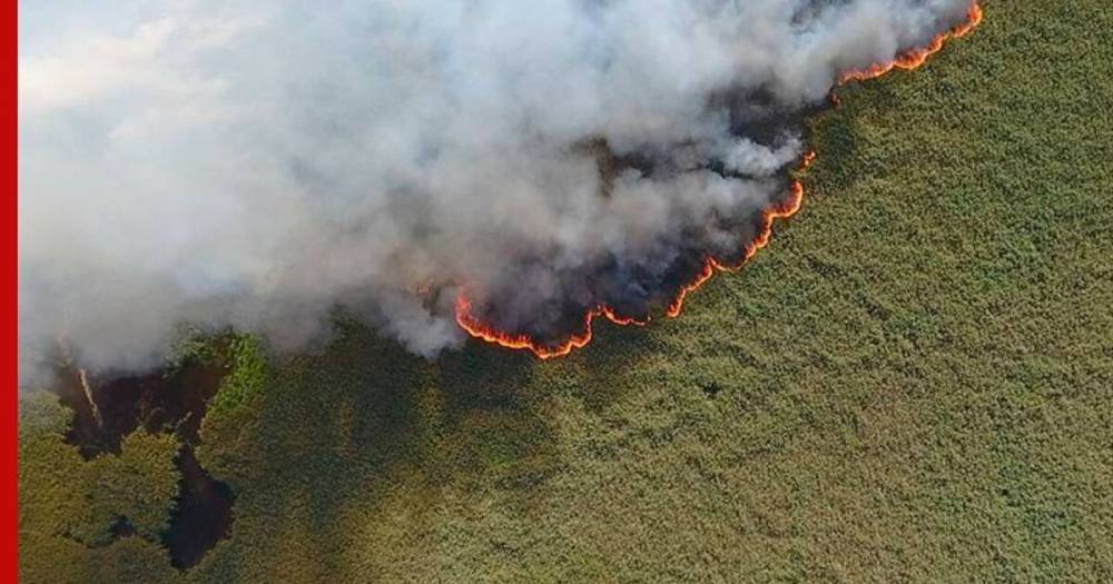 После окрика Путина в России за сутки ликвидировали десятки лесных пожаров