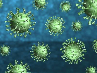 Американские ученые нашли эффективный способ борьбы с коронавирусом