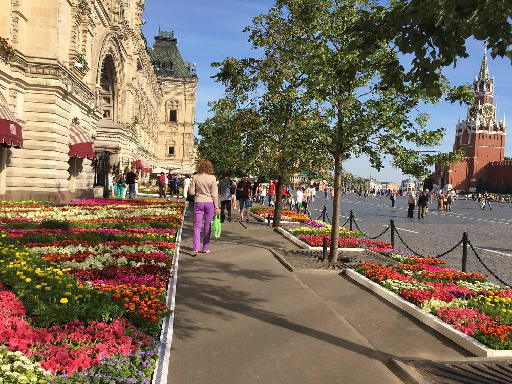 В Москве тепло и сыро: синоптики пообещали дожди