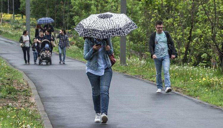 Синоптик предупредила о приходе «тепла с дождями» в Москву и Подмосковье в выходные