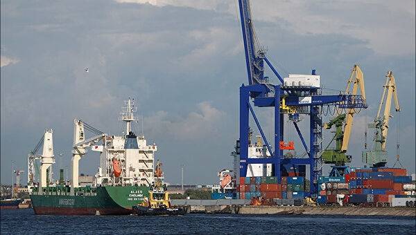В порту Петербурга задержали 73 тонны контрабандного сыра из Европы