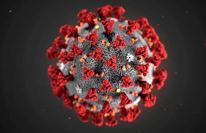Число жертв коронавируса в мире превысило 355 тыс. человек