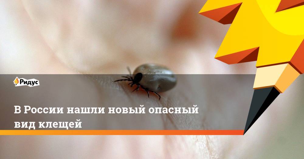 В России нашли новый опасный вид клещей