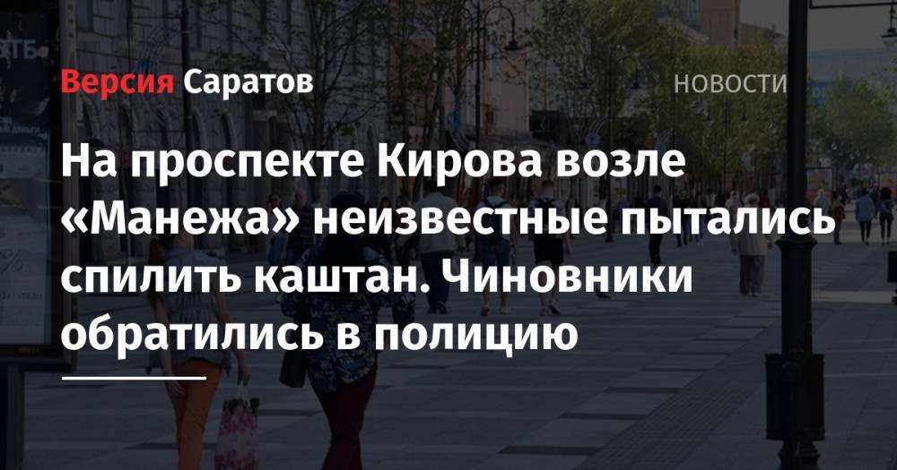 На проспекте Кирова возле «Манежа» неизвестные пытались спилить каштан. Чиновники обратились в полицию