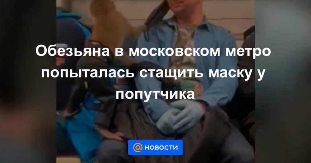 Обезьяна в московском метро попыталась стащить маску у попутчика