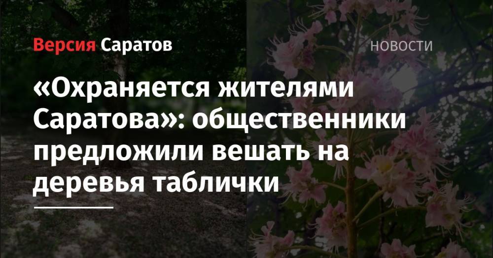 «Охраняется жителями Саратова»: общественники предложили вешать на деревья таблички
