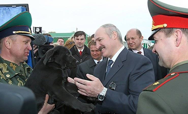 «Служит верой и правдой». 11 лет назад в Лоеве Лукашенко подарили лабрадора, который до сих пор живет с президентом