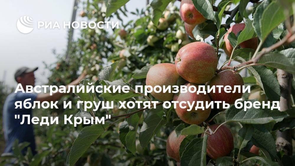 Австралийские производители яблок и груш хотят отсудить бренд "Леди Крым"