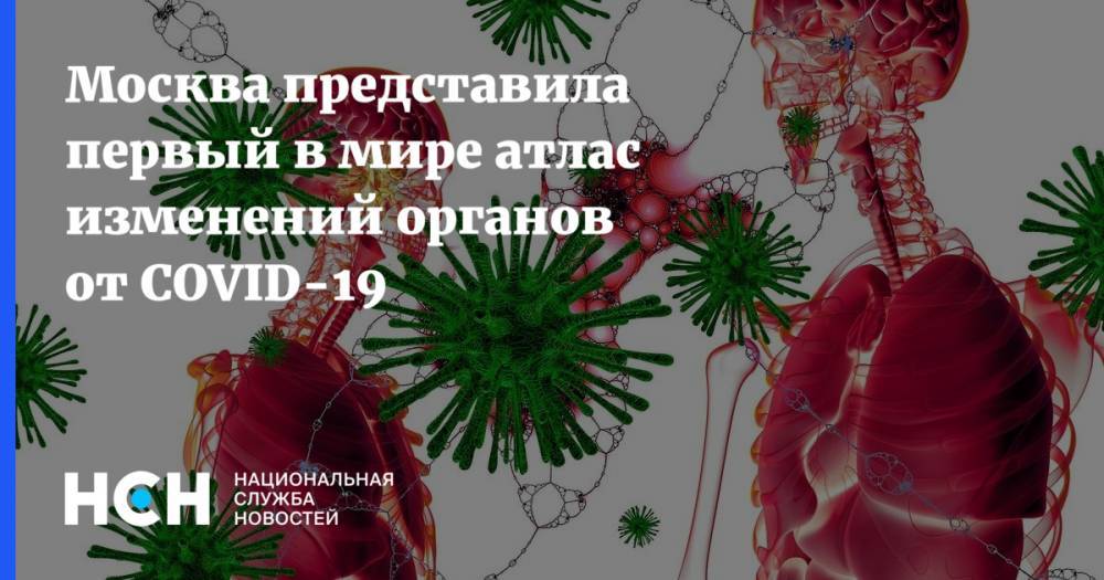 Москва представила первый в мире атлас изменений органов от COVID-19