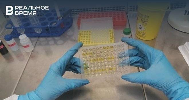Казанские ученые начнут тестировать вакцину от коронавируса на мышах