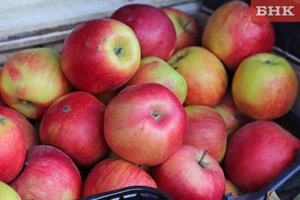 В Коми за неделю подорожали гречка и яблоки
