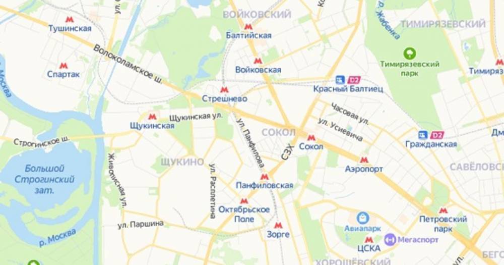 Расписание прогулок для москвичей появилось в "Яндекс.Картах"