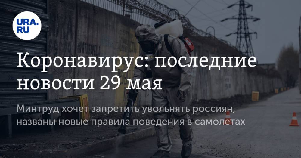 Коронавирус: последние новости 29 мая. Минтруд хочет запретить увольнять россиян, названы новые правила поведения в самолетах