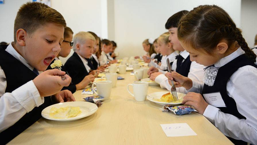 Нарушения в организации питания выявлены в более чем 3 тыс. школ и детсадов РФ
