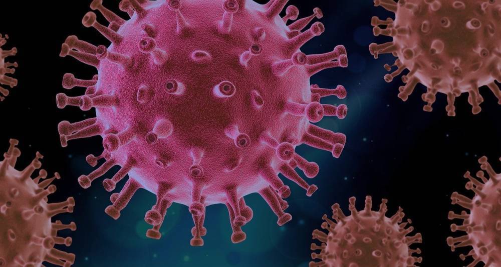 Количество зафиксированных случаев коронавирусной болезни в Украине приближается к 23 тысячам