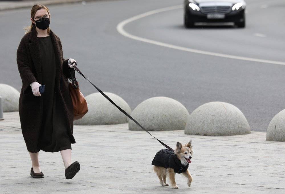 Москвичи смогут выгуливать собак на расстоянии до двух километров от дома
