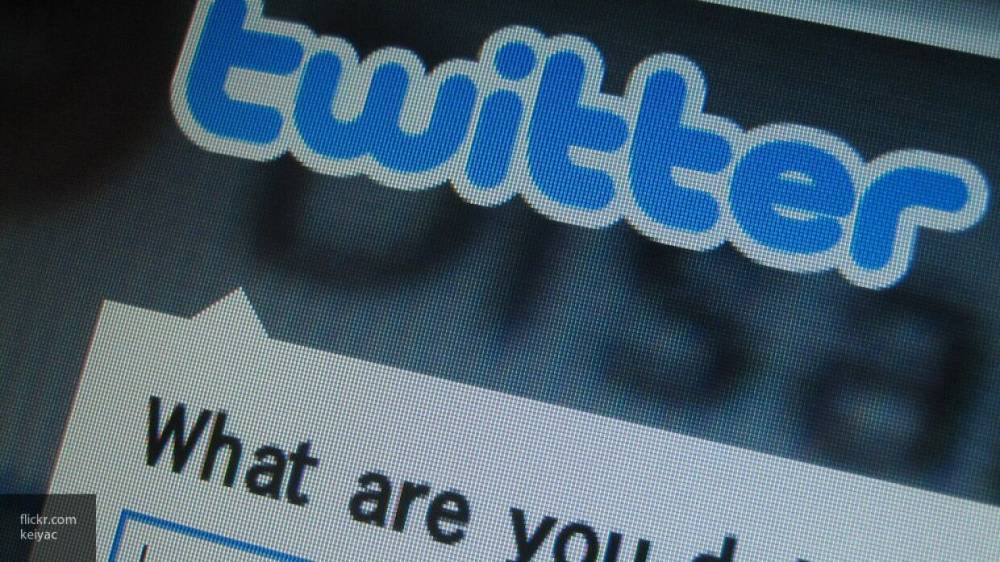 Блогер Макаренко назвал Twitter инструментом для политических провокаций
