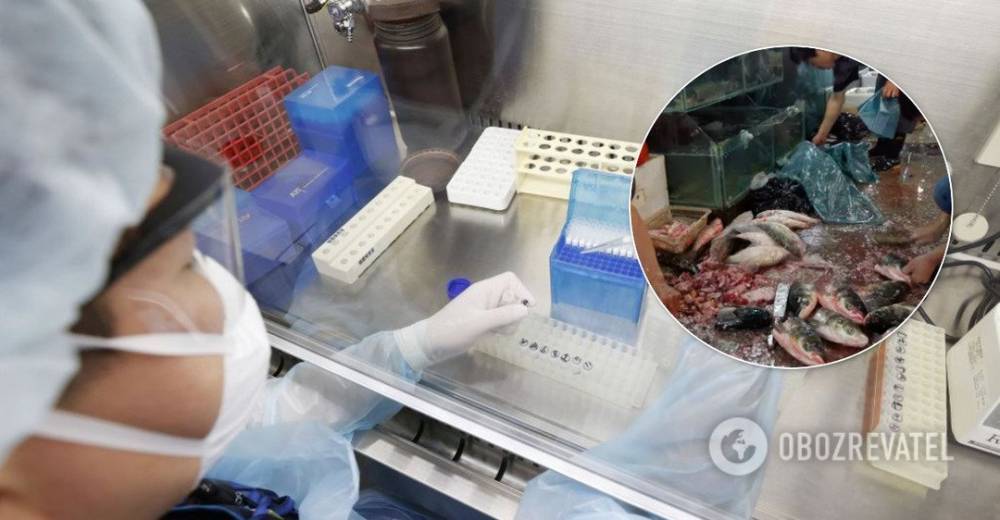 В Китае признались, что коронавирус пошел не из рынка Уханя