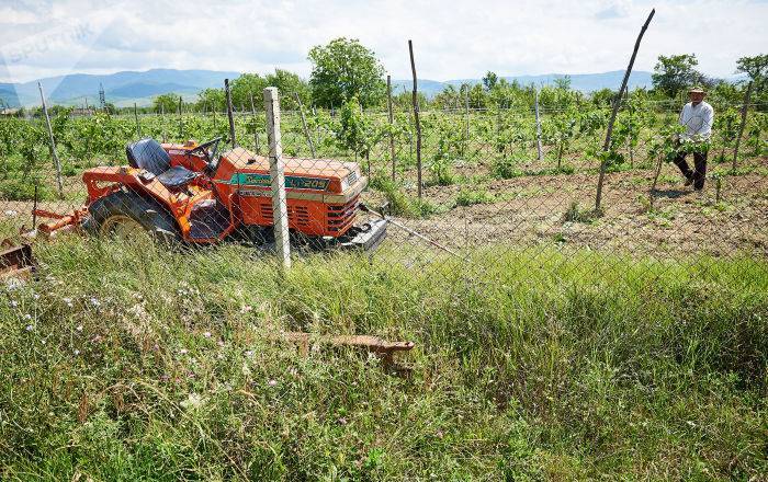 Тысячи фермеров в Грузии уже получили талоны на топливо по льготной цене