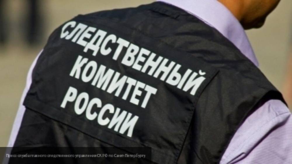 Глава СК РФ проконтролирует ход дела о применении насилия в отношении сотрудников полиции