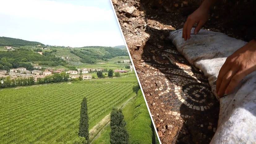 «Крупнейшее открытие года»: итальянские археологи обнаружили античную мозаику под виноградниками