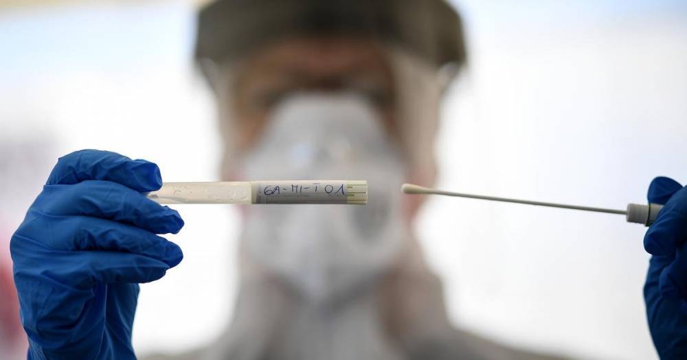 Спецслужбы Запада обвинили Китай в уничтожении данных о коронавирусе
