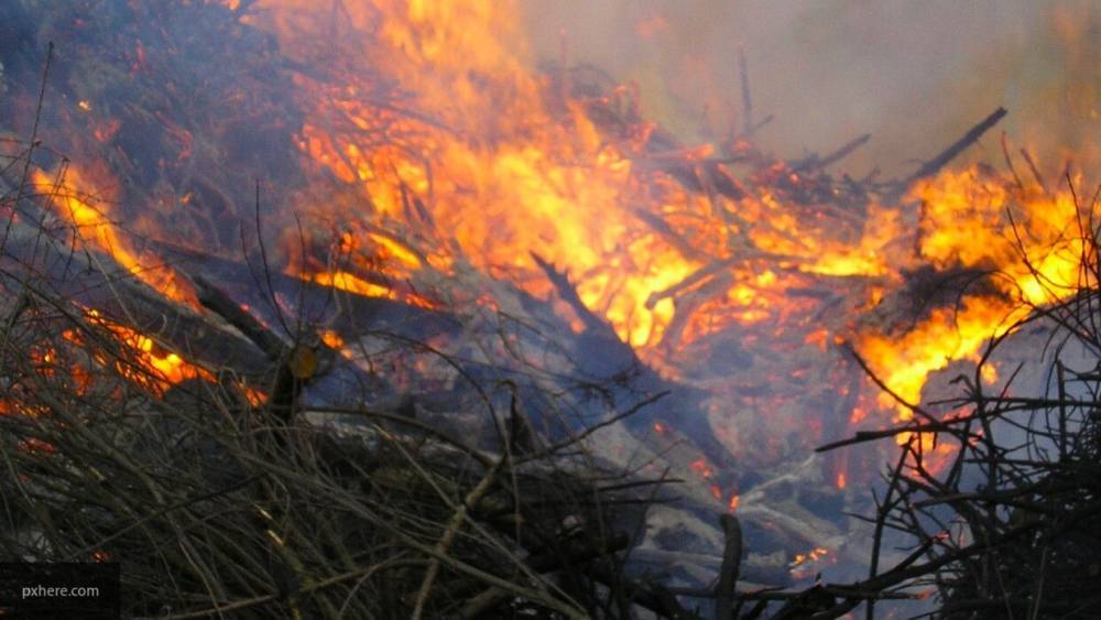 Два крупных лесных пожара ликвидированы в районах Забайкалья