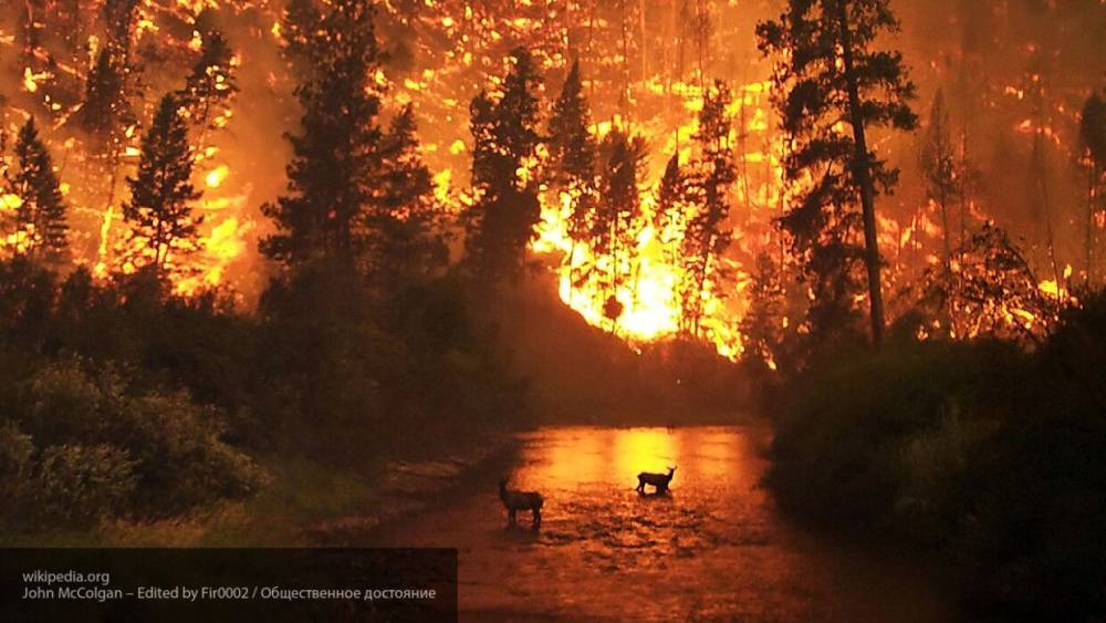 Два крупных лесных пожара ликвидировали в Забайкалье