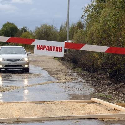 В Нижегородской области восемь населенных пунктов закрыты на карантин