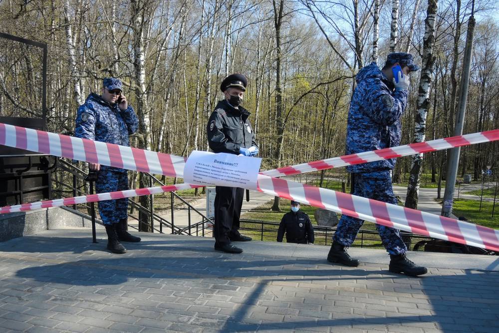 Житель Подмосковья порезал ножом полицейских после замечания о самоизоляции