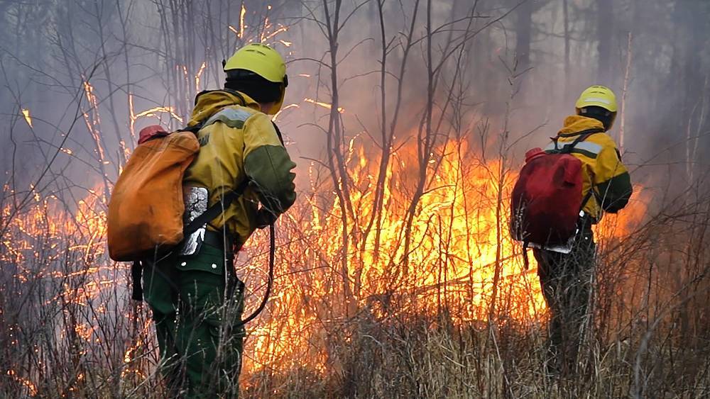 В Сибири продолжает гореть лес