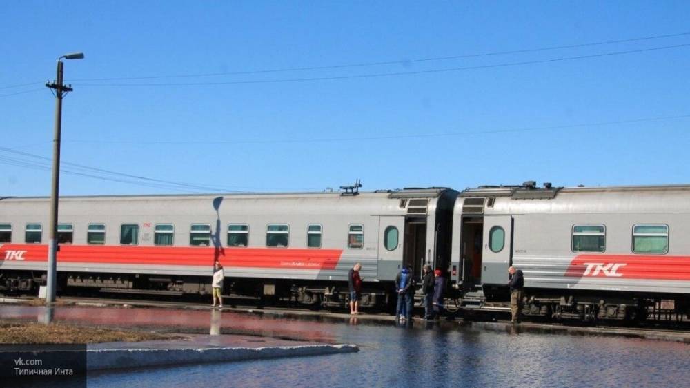 Полиция в Ленобласти завела уголовное дело о "минировании" поезда у станции "Ушаки"