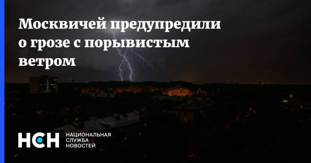 Москвичей предупредили о грозе с порывистым ветром