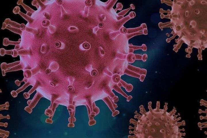 Вирусолог Минздрава заявил, что коронавирус поражает любые органы человека