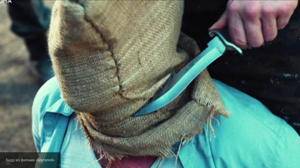 Соловьев: фильм "Шугалей" поможет привлечь внимание к проблеме похищенных в Ливии россиян