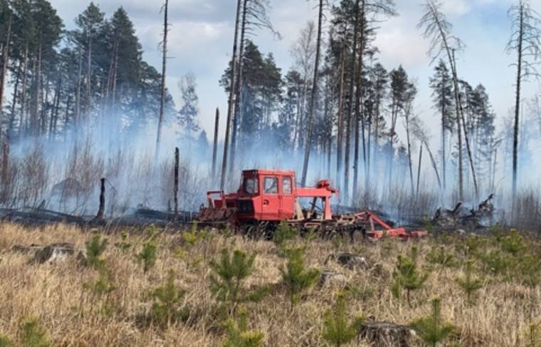 Лесной пожар произошёл в Подмосковье - news.ru - Украина - Московская обл.