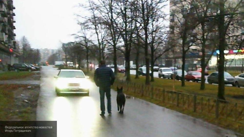 Погоня BMW за велосипедистом по тротуару в Петербурге попала на видео