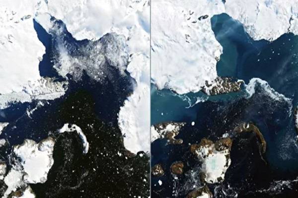 НАСА показало масштабы таяния ледников в Антарктиде