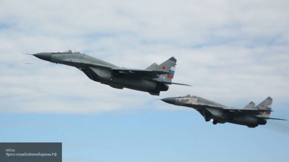 Немецкий депутат призвал США заняться борьбой с агрессией Турции, а не вбросами о МиГ-29