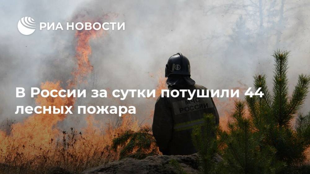 В России за сутки потушили 44 лесных пожара