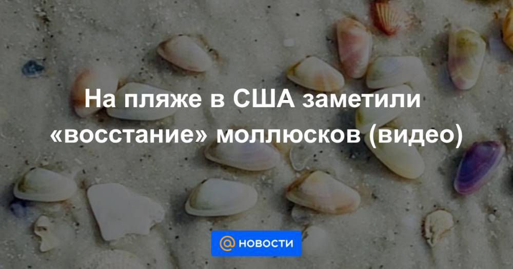 На пляже в США заметили «восстание» моллюсков (видео)