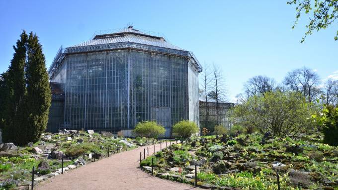 Ботанический сад Петра Великого ищет волонтеров