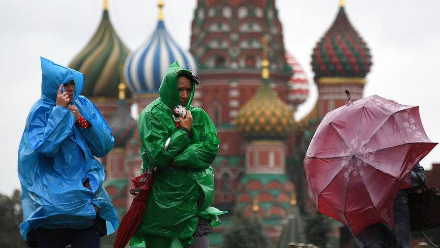 МЧС предупредило москвичей об ветре до 20 м/с и сильном дожде