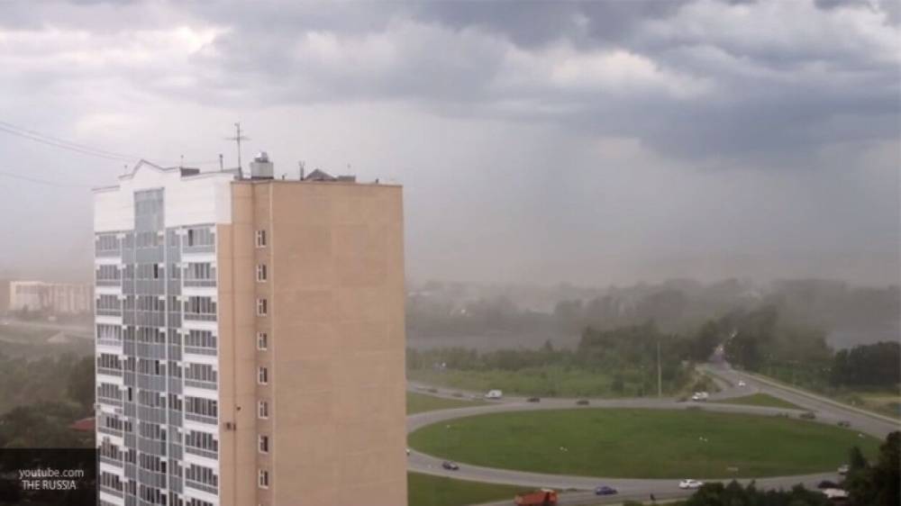 Сотрудники МЧС сообщили об опасности сильного ветра в Московском регионе