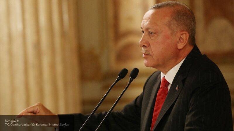 Бредихин: Эрдоган продолжит вербовать террористов ИГ для расширения интересов Турции